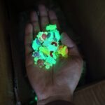 রেডিয়াম গ্লো কচ্ছপ (৫০ পিস প্যাক) - Image 2